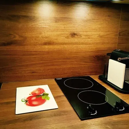L'appartement Vert نيس